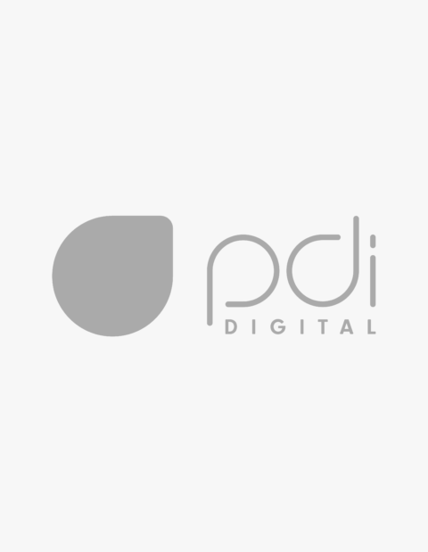 Abbildung vom PDI Logo